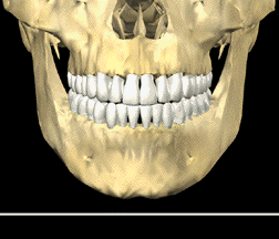 3dwis-1.gif 3dwis-1.gif